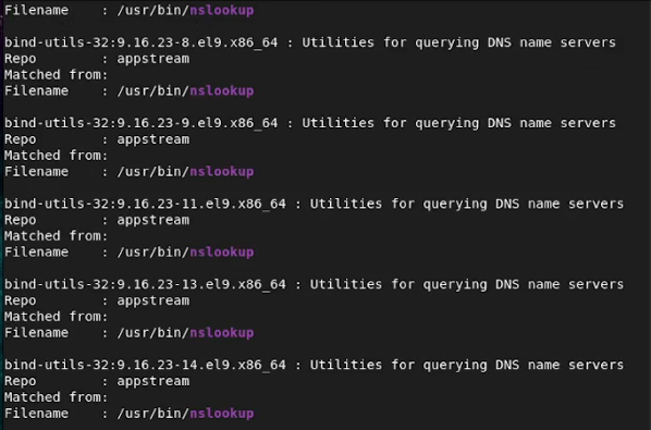 the result is bind-utils